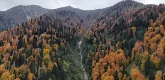 Ayder Yaylası Sonbahar Renkleriyle Büyülüyor