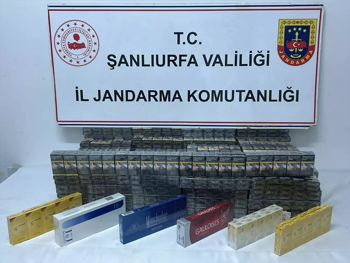 Şanlıurfa'da Gümrük Kaçakçılığı Operasyonu: 3 Şüpheli Tutuklandı