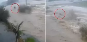 Sele kapılan Bülent Kaptanoğlu'nun son anları kamerada! Ne yapsa kurtulamadı