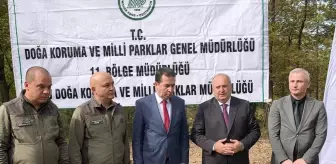 Ünye'de Kahverengi Kokarca ile Mücadele İçin 200 Sülün Bırakıldı