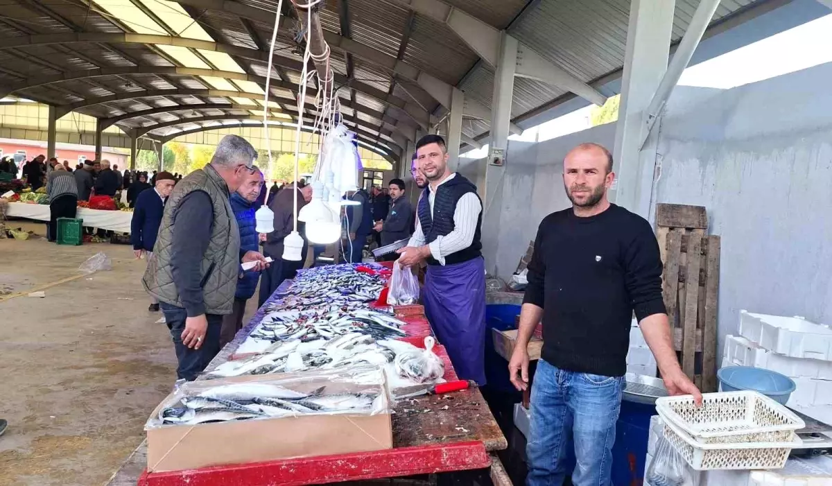Kütahya Hisarcık'ta Balık Fiyatları Düşüşte: Hamsi ve Sardalya 150 TL'ye Geriledi