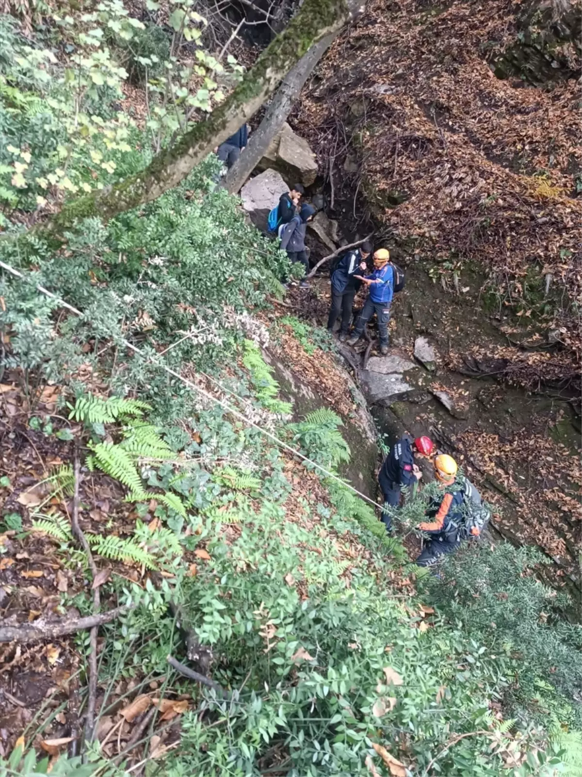 Bursa'da Ormanda Mahsur Kalan 4 Kişi Kurtarıldı