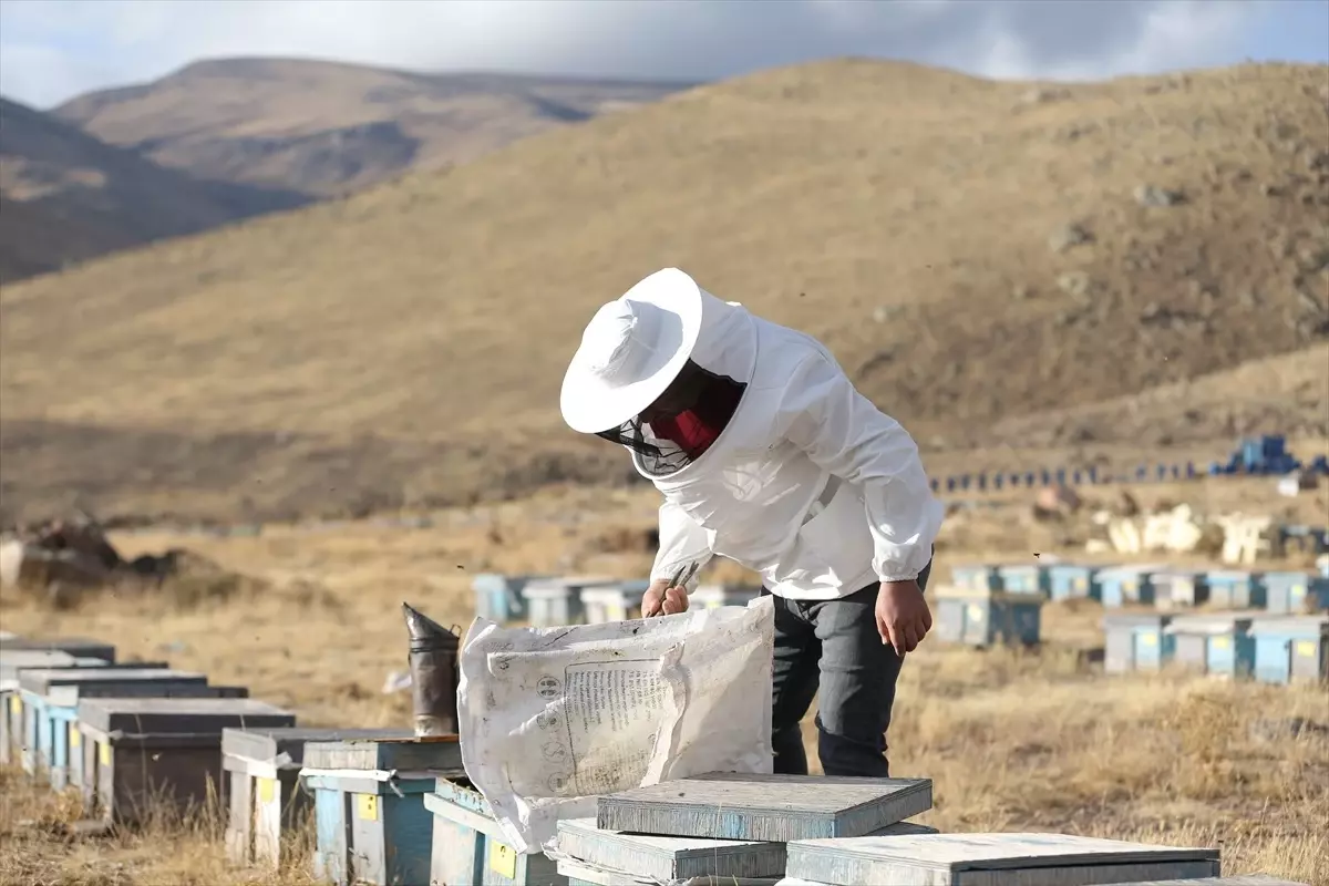 Dede Mesleği Arıcılığı 3. Kuşak Temsilcisi Ahmet Yetkin