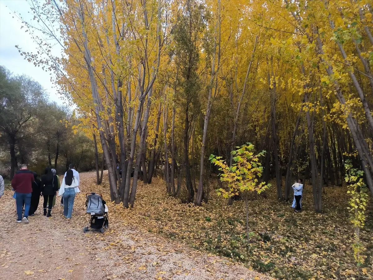 Doğanşehir Sonbahar Renklerine Büründü