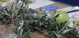 Edremit'te Zeytinyağı Tadım Festivali Düzenleniyor