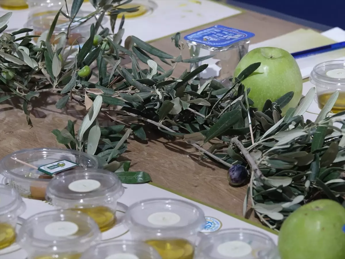 Edremit'te Zeytinyağı Tadım Festivali Düzenleniyor