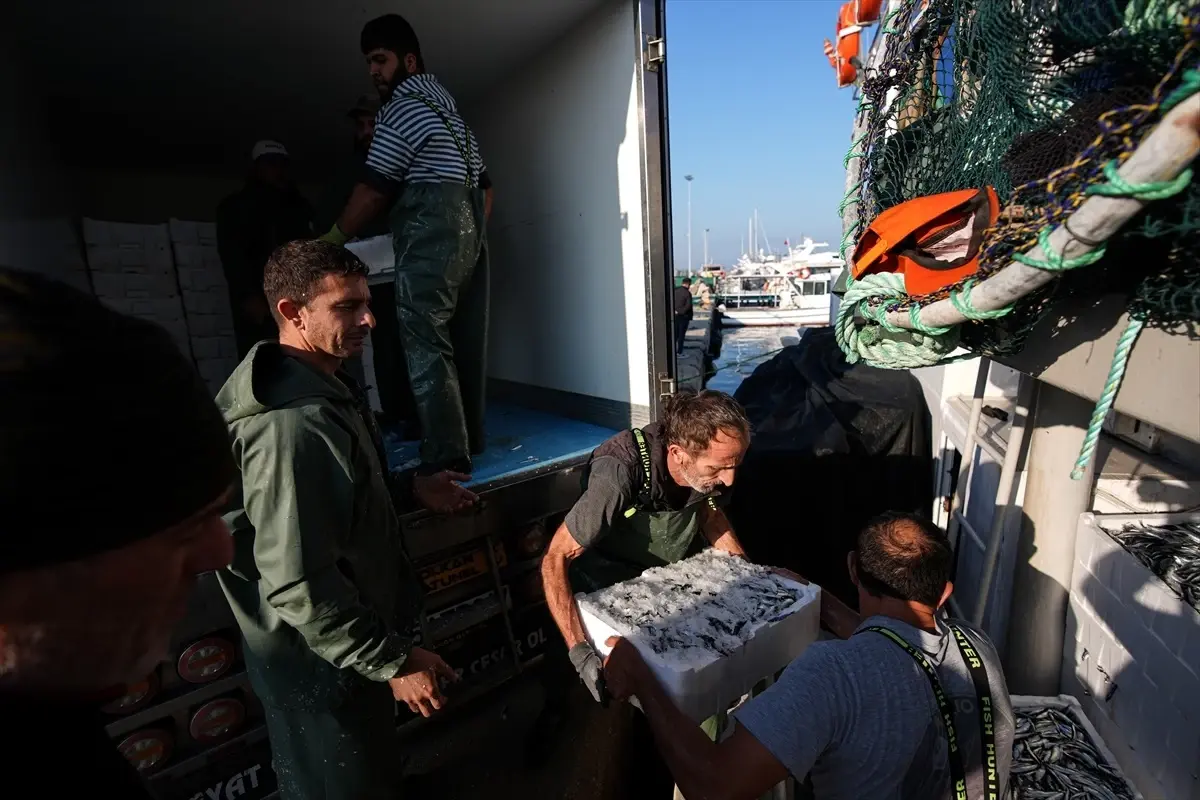 Egeli Balıkçılar Tayfa Bulmakta Zorlanıyor