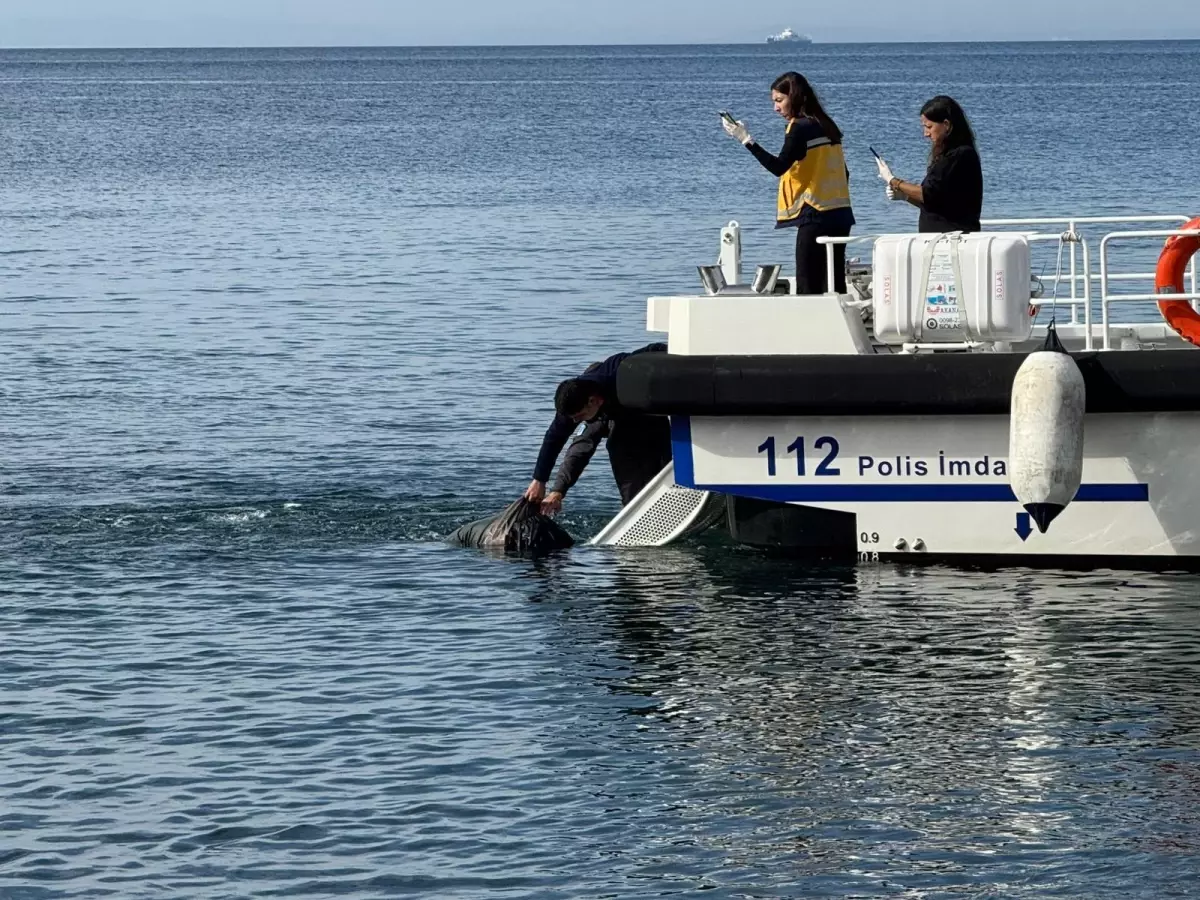 Erdek'te Denizde Ceset Bulundu