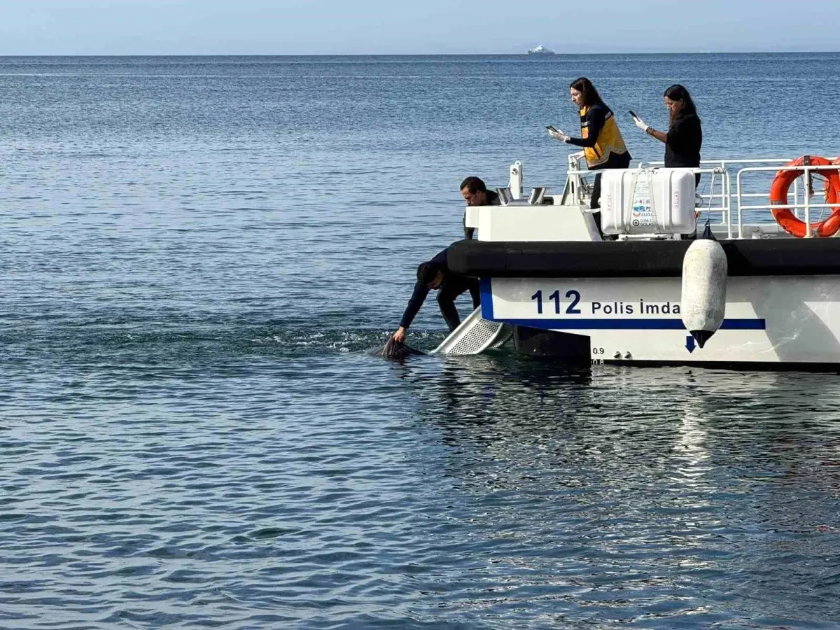 Erdek'te denizde erkek cesedi bulundu