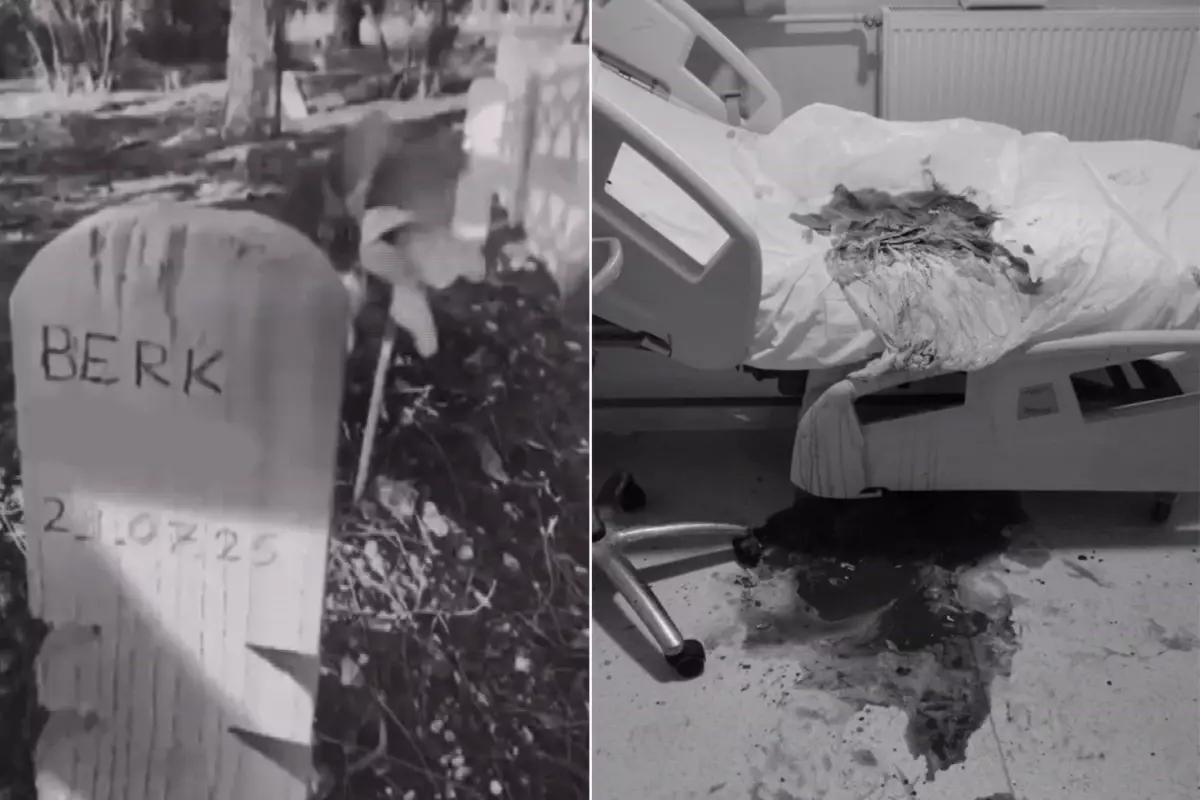 Hastanede skandal! Doğumda doktorun elinden kayan bebek öldü