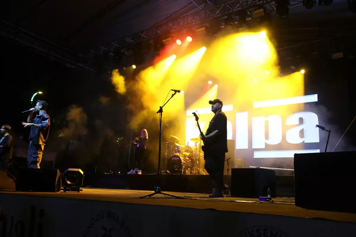 Hatay'da 9. Altınözü Zeytin, Zeytinyağı ve Gastronomi Festivali sürüyor