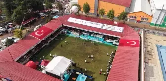 Kahramanmaraş'ta Karakucak Güreşleri Dünya Şampiyonası sona erdi