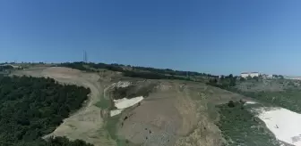 Kocaeli'de 60 Dönüm Alanda 4 Bin 500 Fidan Dikilecek