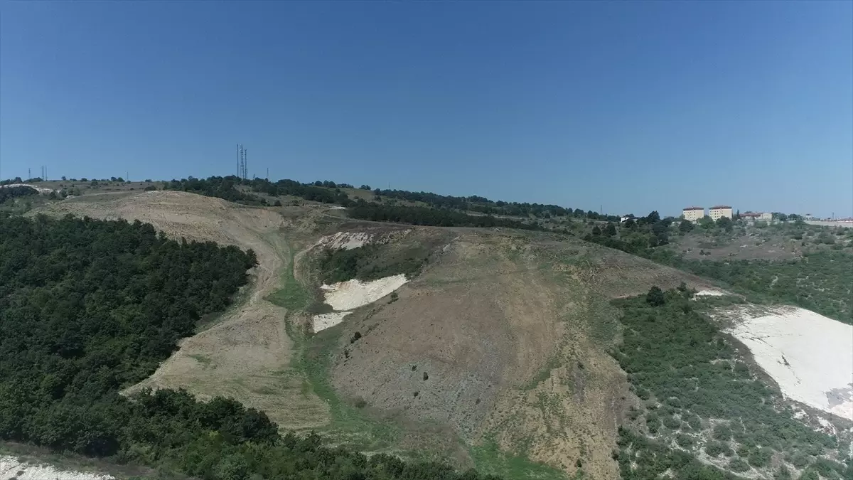 Kocaeli'de 60 Dönüm Alanda 4 Bin 500 Fidan Dikilecek