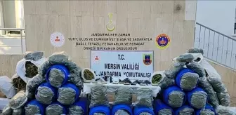 Mersin'de Uyuşturucu Operasyonu: 220 Kilogram Esrar ve Kokain Ele Geçirildi