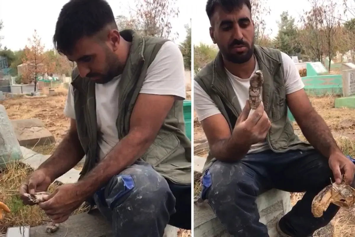 Mezarlıkta kan donduran manzara! Bulur bulmaz yaktı