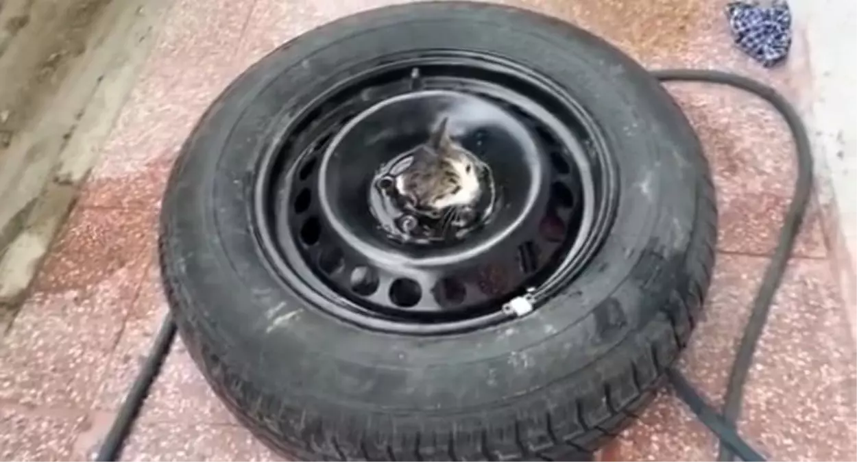 Çankırı'da Sıkışan Kedi İtfaiye Tarafından Kurtarıldı