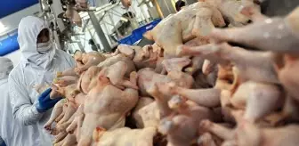 2 bin tondan fazla tavuk eti geri çağrıldı! İçlerinden metal çıktı