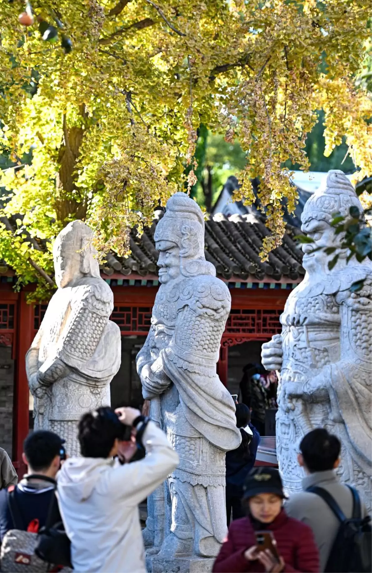 Beijing Taş Oymacılığı Sanat Müzesi, Sonbahar Güzelliğiyle Ziyaretçilerini Ağırlıyor