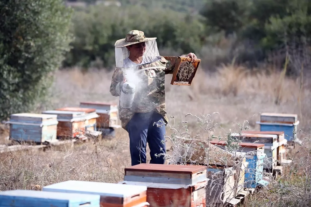 Adana'da Kadın Arıcı Metanet Çelik, Yılda 1,5 Ton Bal Üretiyor