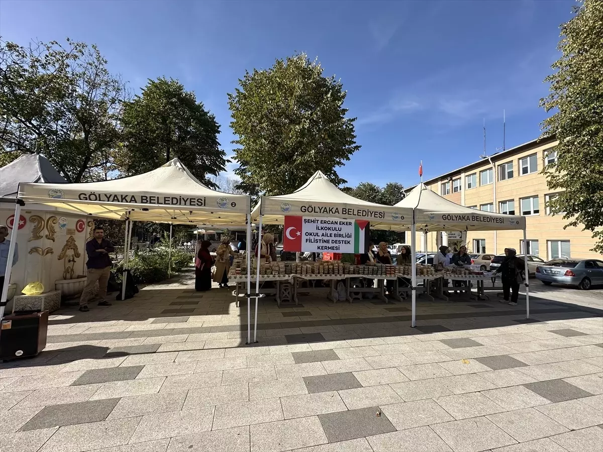 Düzce'den kısa kısa