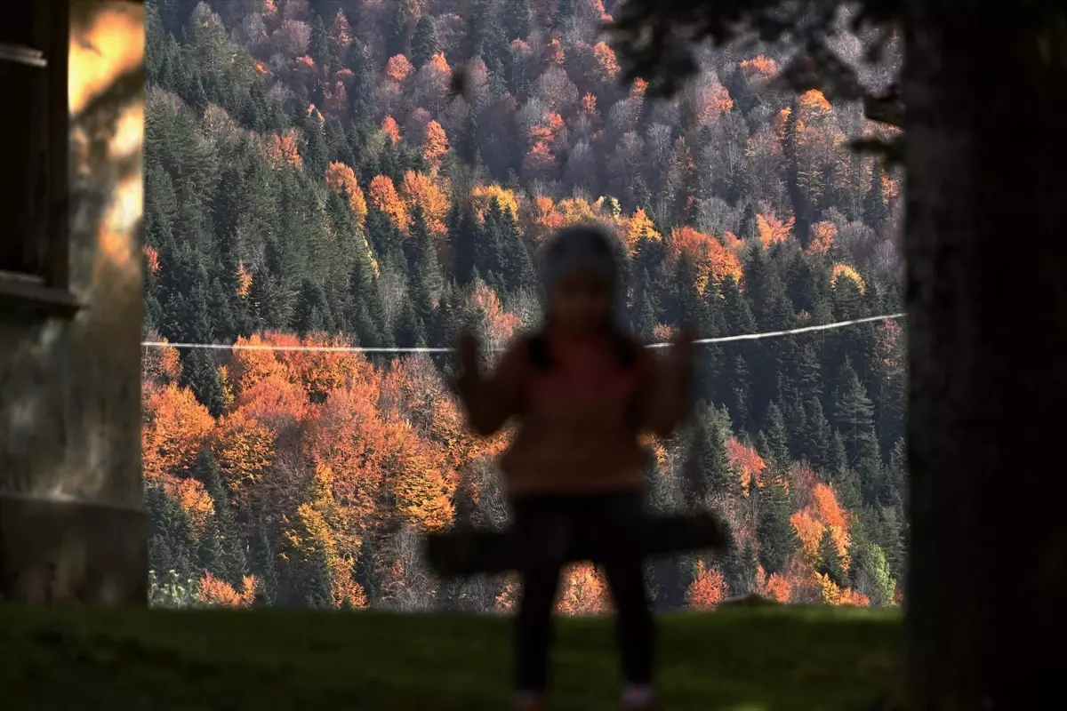 Düzce'de Sonbahar Renkleri: Odayeri Yaylası ve Torkul Göleti