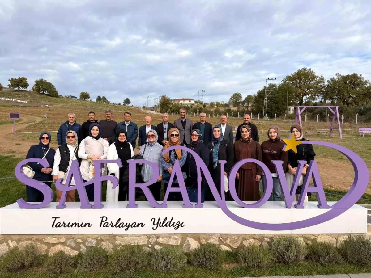 Eski Bakan Mehdi Eker, Safranbolu'da Safran Hasadına Katıldı