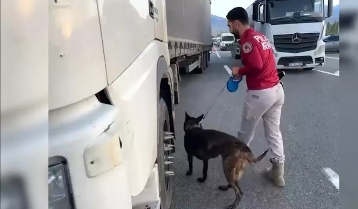 Iğdır'da Kaçakçılık Operasyonu: Binlerce Paket Kaçak Sigara ve Dolandırıcılığa Gözaltılar