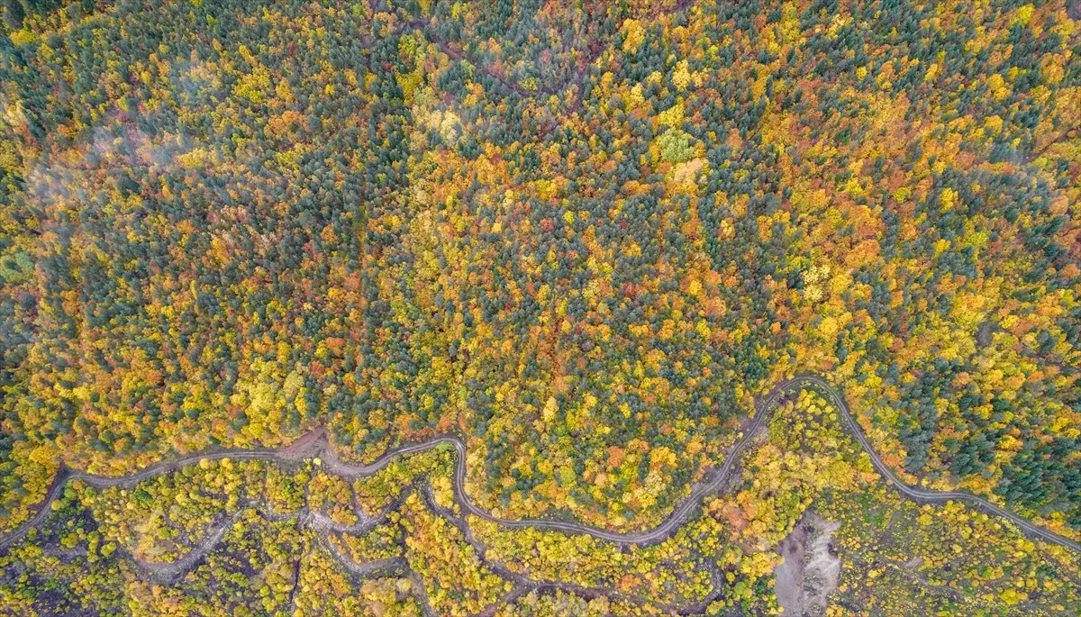 Ilgaz Dağı'nın Sonbahar Güzellikleri