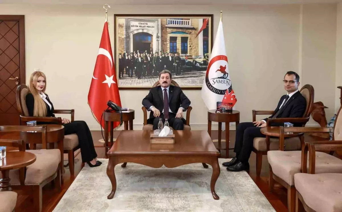 Samsun'un Ladik ve Yakakent ilçelerine yeni kaymakam vekilleri atandı