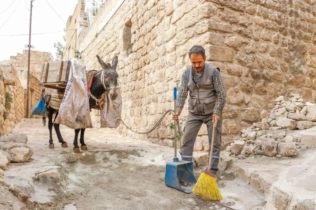 Mardin'de Eşekler Emekli Oluyor, Yerine Elektrikli Araçlar Geçiyor