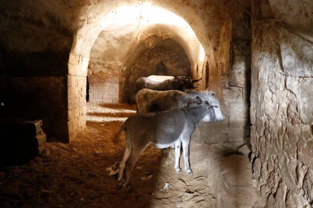 Donkeys in Mardin are Retiring, Replaced by Electric Vehicles