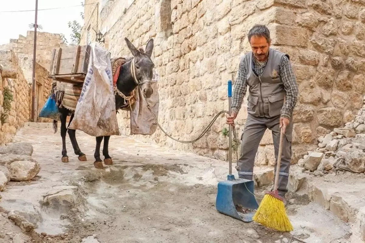 Yıllardır sokak sokak geziyorlardı! Kadrolu eşekler artık emekli olacak