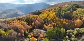 Muş'ta Sonbahar Güzellikleri İçin Doğa Yürüyüşü Düzenlendi