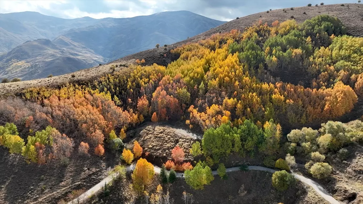 Muş'ta Sonbahar Güzellikleri İçin Doğa Yürüyüşü Düzenlendi