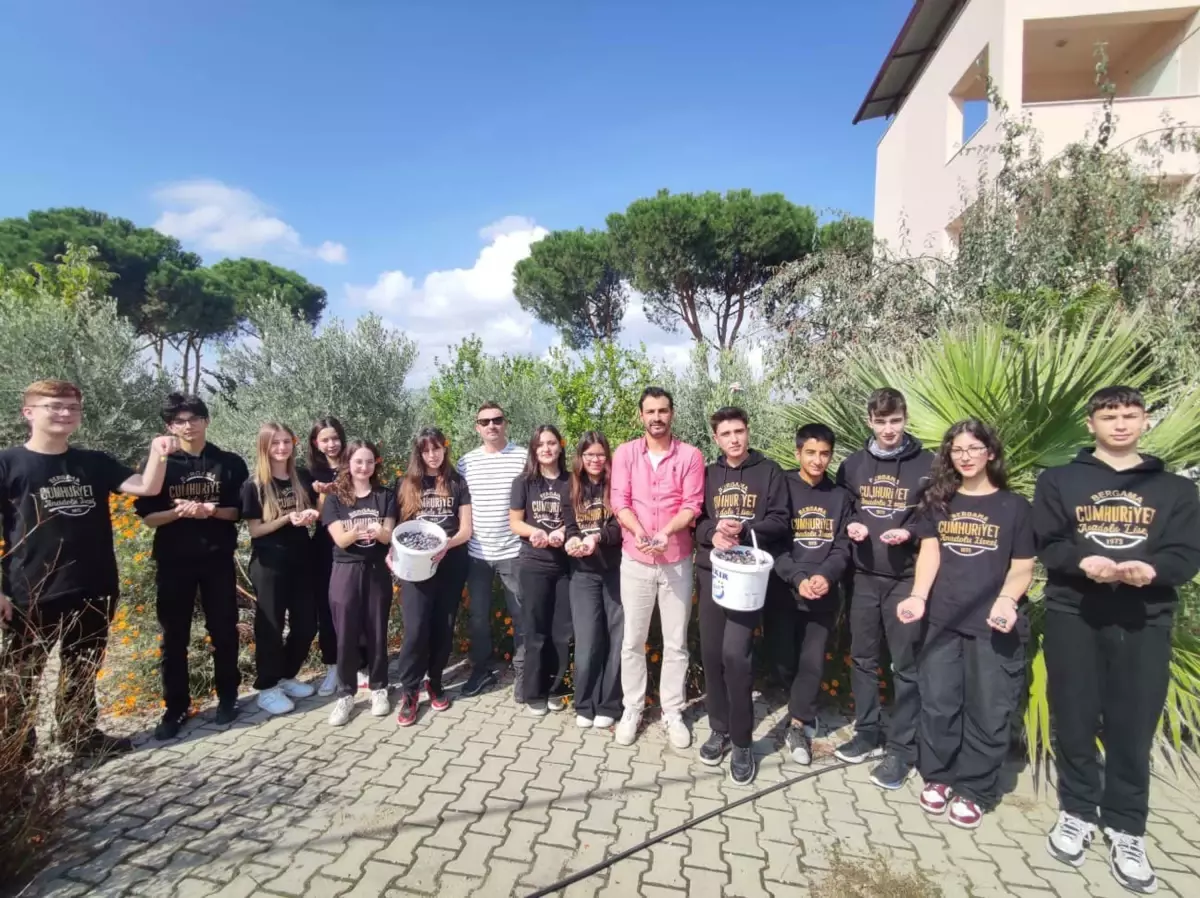 Öğrenciler Zeytin Hasadı Yaparak Doğayla Bağlantı Kurdu