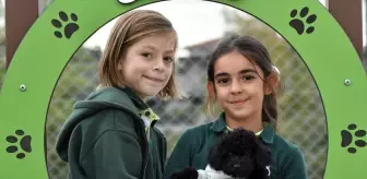 Sakarya'da 'Can Dostlar Parkı' Açıldı