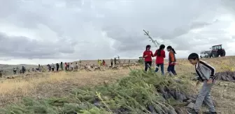 Sigara Bağımlılığını Yenip Ağaçlandırma Projesi Başlattı