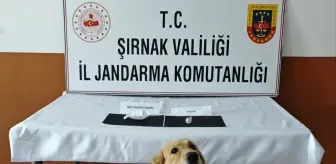 Şırnak'ta Kaçakçılık Operasyonları: 87 Şüpheli Yakalandı