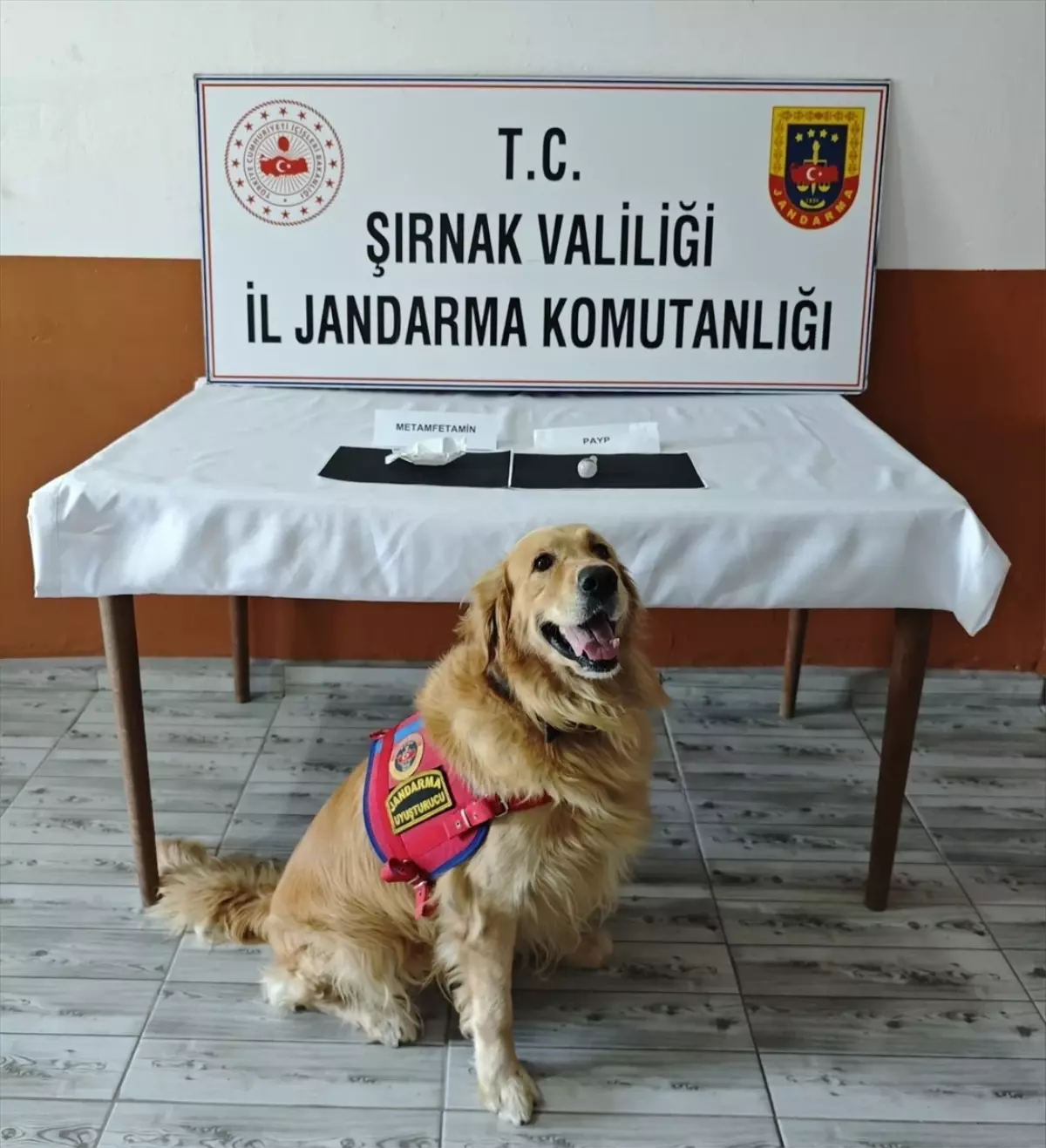 Şırnak'ta Kaçakçılık Operasyonları: 87 Şüpheli Yakalandı