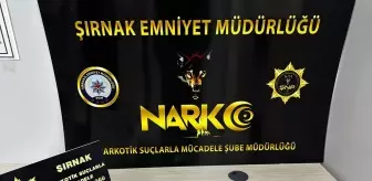Şırnak'ta Narkotik ve Kaçakçılık Operasyonları: 111 Gözaltı, 5 Tutuklama