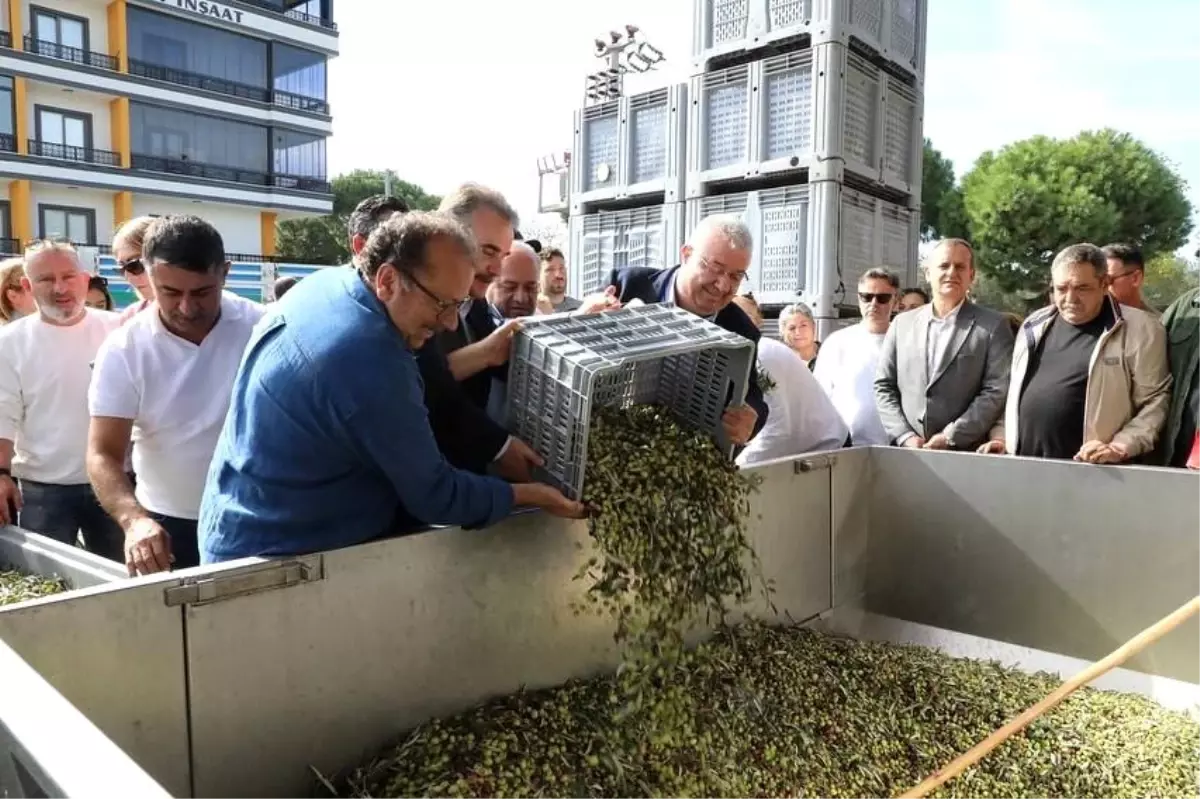 Edremit'te Zeytinyağı Tadım Festivali: Kültür ve Bilinçli Tüketimin Önemi