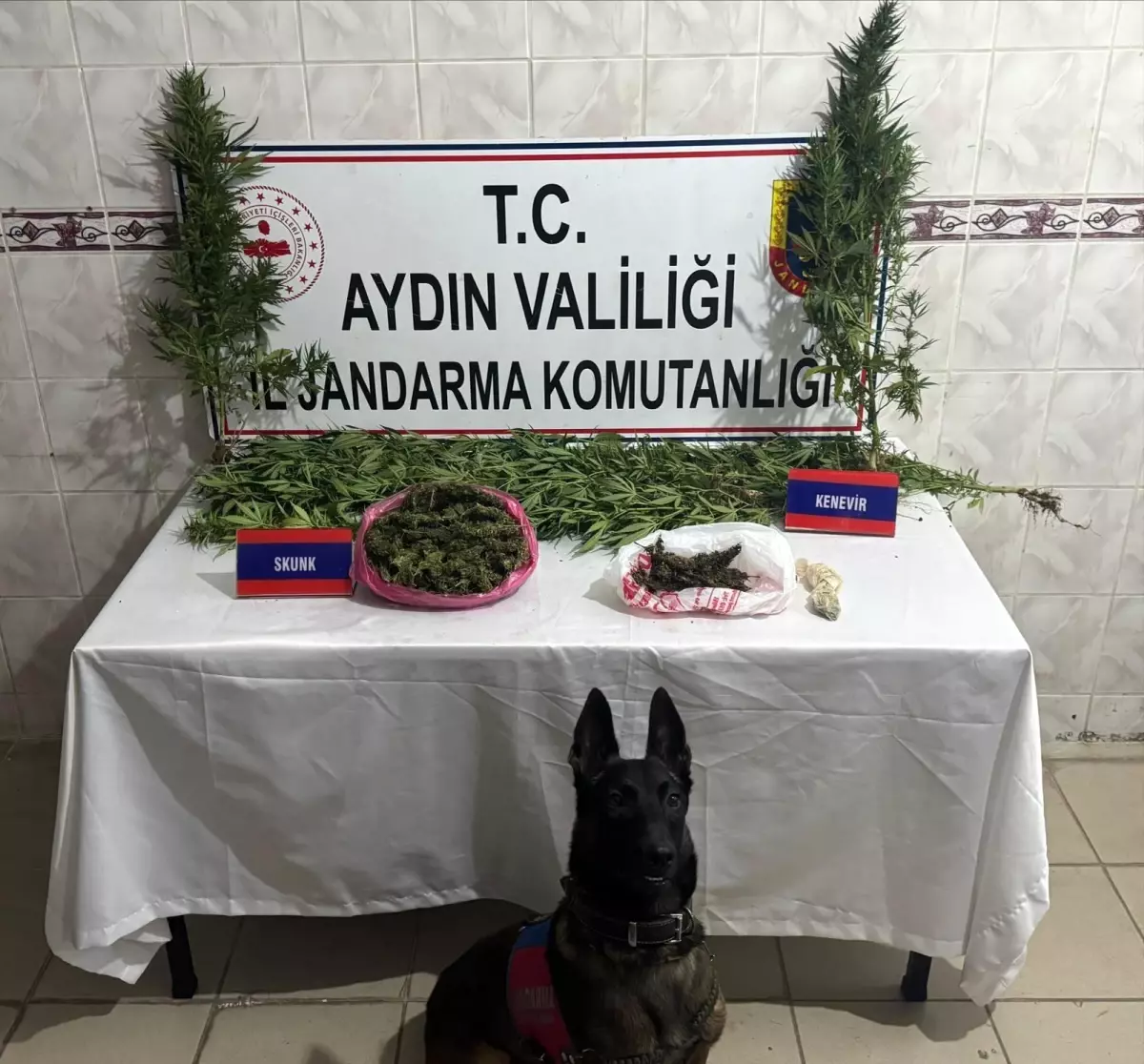 Nazilli'de Uyuşturucu Operasyonu: 498 Gram Skunk ve 17 Kök Bitki Ele Geçirildi