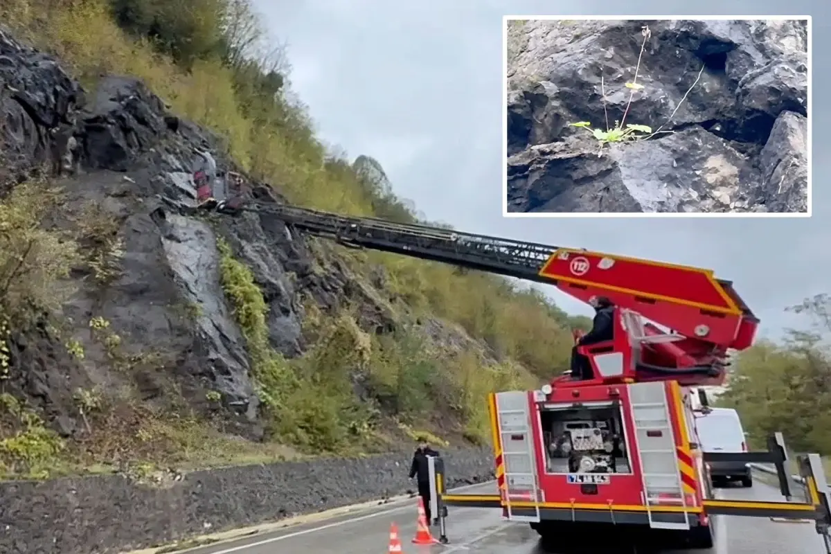 Kayalıklardan sarkan kablolar korkuttu! 19 yıllık gerçek ortaya çıktı