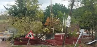Balıkesir'de Şiddetli Rüzgar Ağaçları Söküp İşletmelere Zarar Verdi