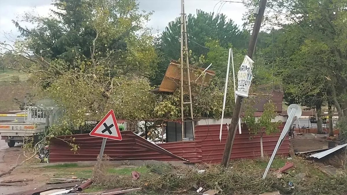 Balıkesir'de Şiddetli Rüzgar Ağaçları Söküp İşletmelere Zarar Verdi