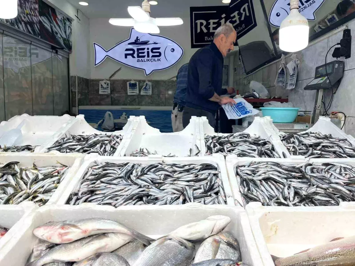 Bayburt’ta Balık Tezgahları Yeniden Canlandı