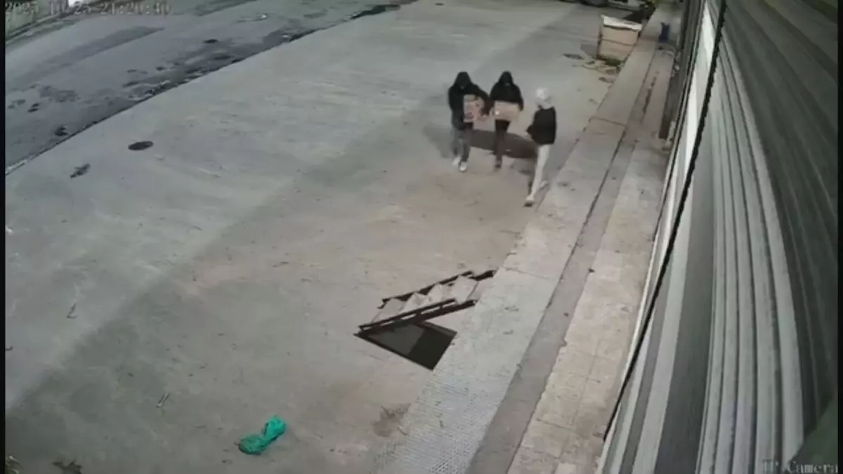 Bayrampaşa'da Güvercin Hırsızlığı Kamerada