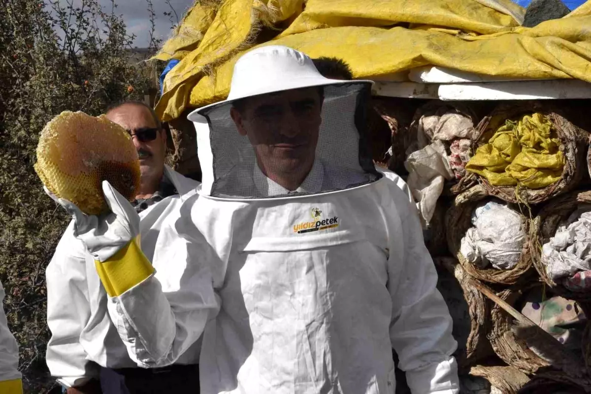 Bitlis Valisi Ahmet Karakaya, Karakovan Balı Hasadına Katıldı