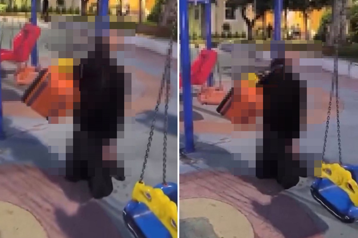 Çocuk parkında dehşete düşüren görüntü
